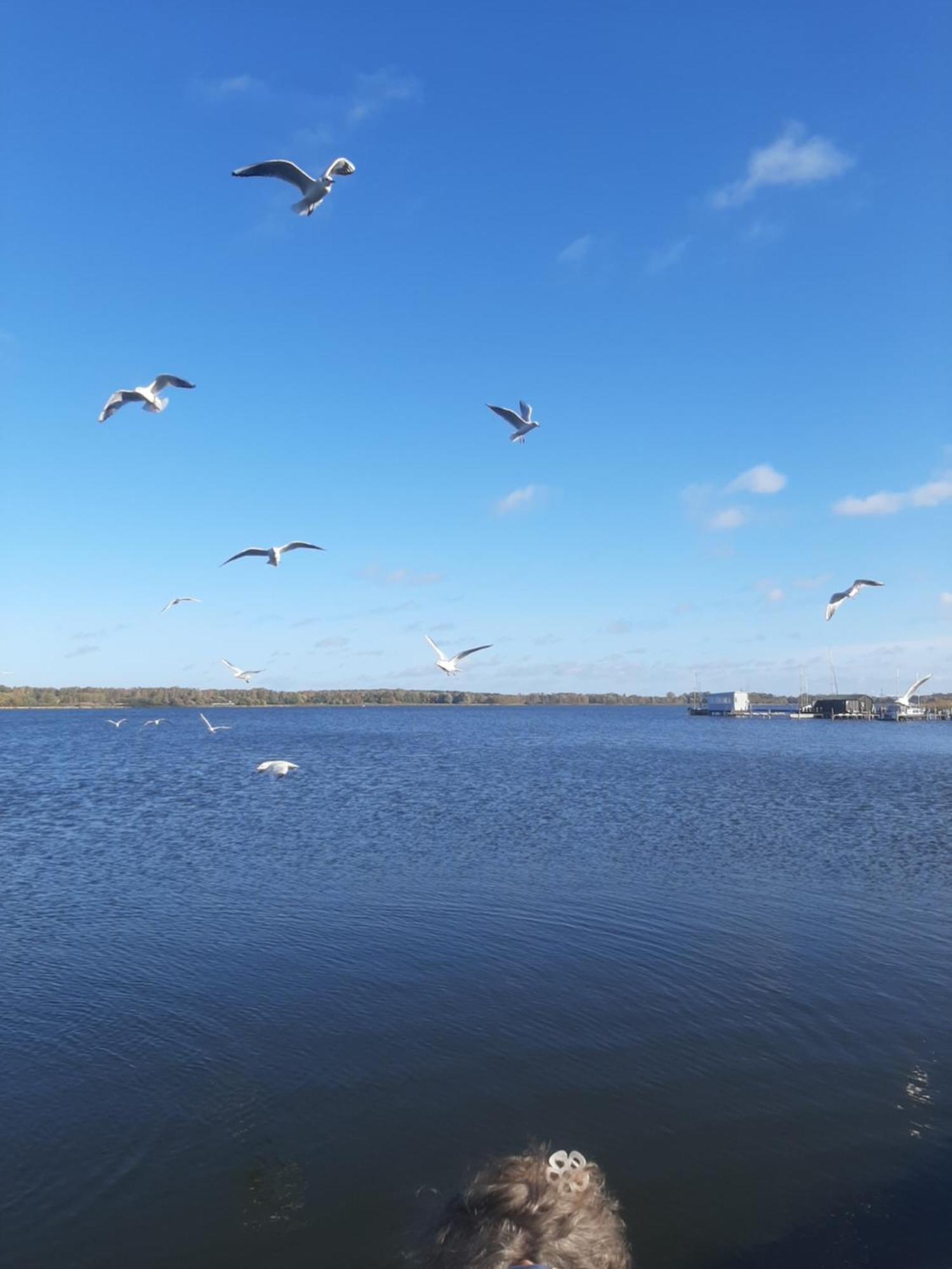 Hotel Perle Am Bodden 리브니츠 담가르텐 외부 사진